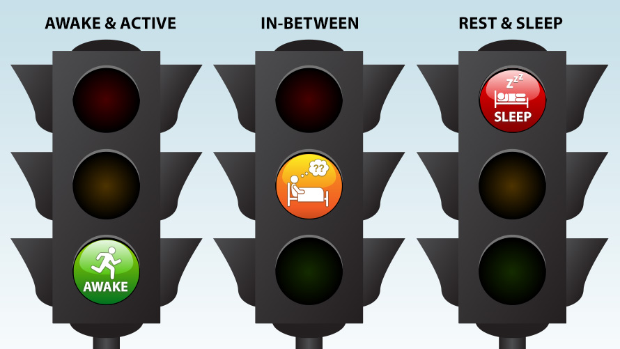 Traffic Light Infographic